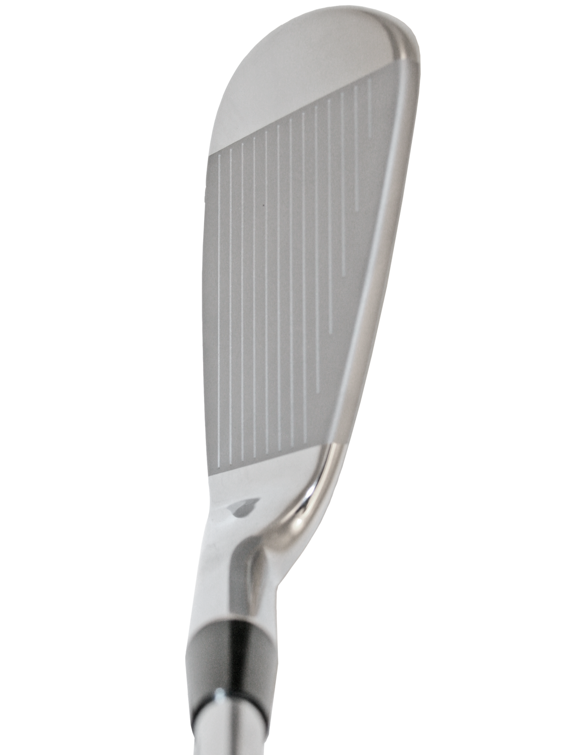 Wishon 565 Forged Irons